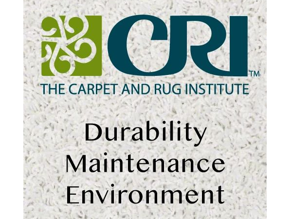 the carpet and rug institute in Katy, TX