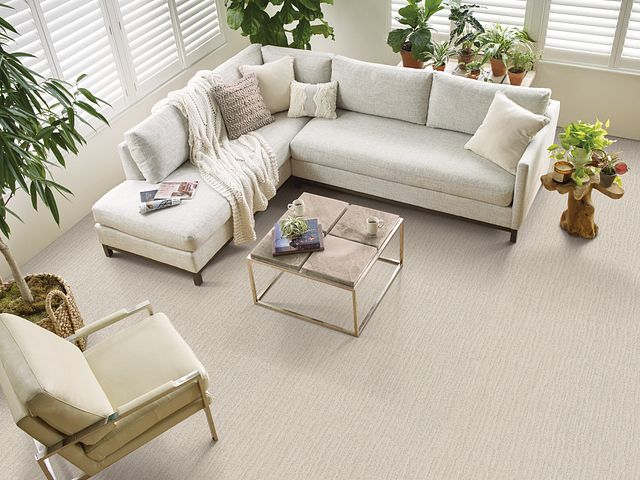 modern bright living room with beige carpet floor from Katy Carpets in Katy, TX